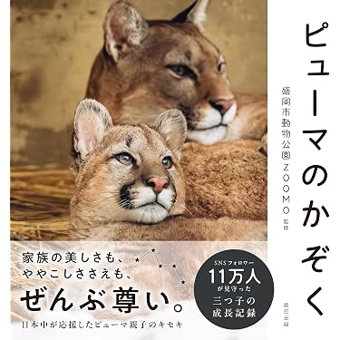 Amazon.co.jp Hot New Releases: The bestselling new & future